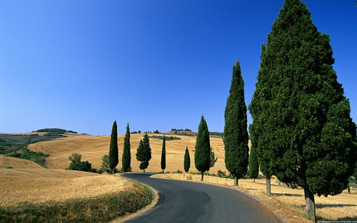 Country Road Road to financial freedom
